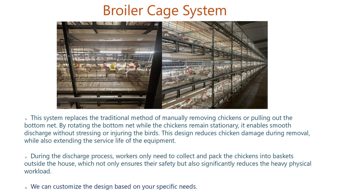 broiler cage system
