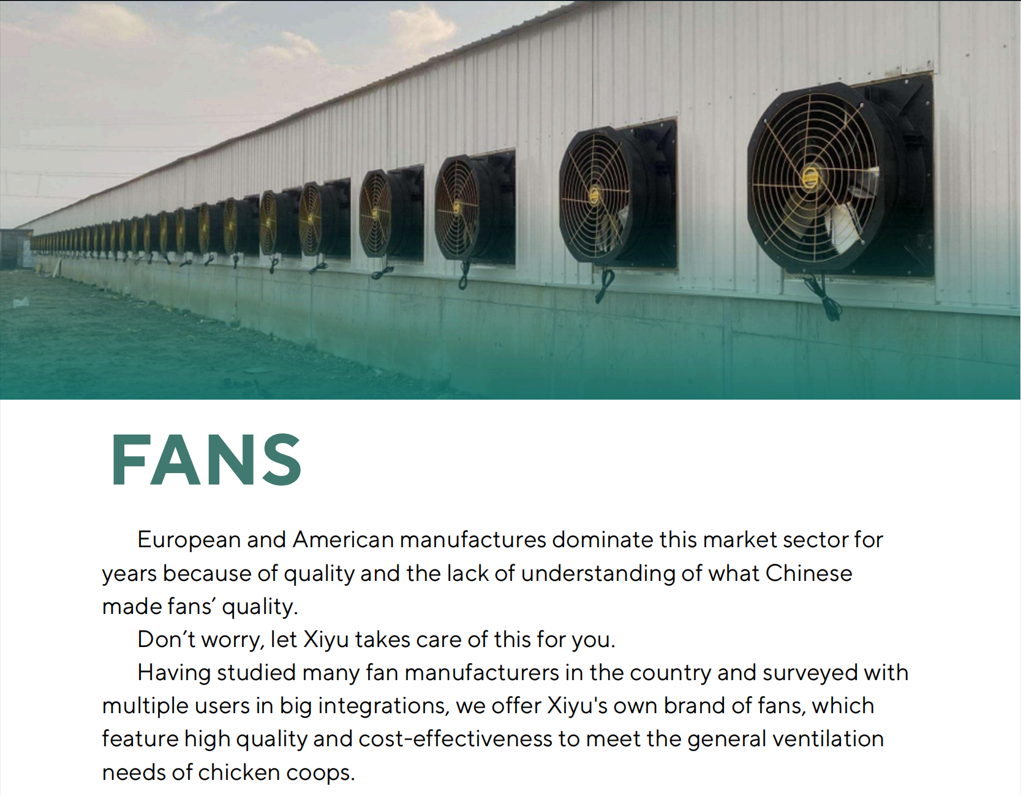 fans