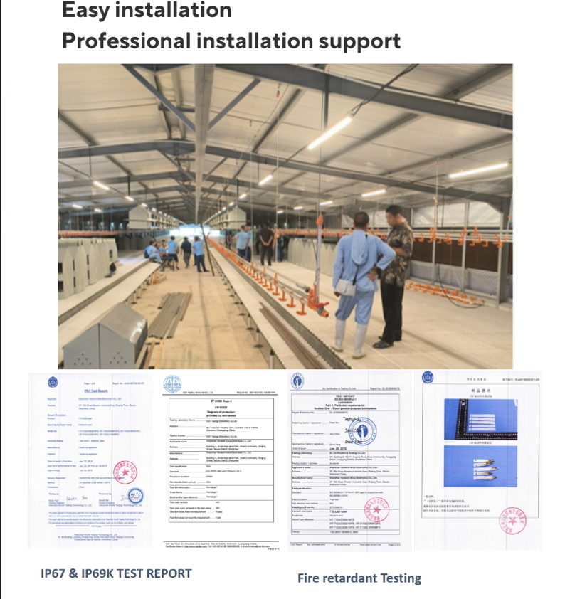 lighting broiler breeder