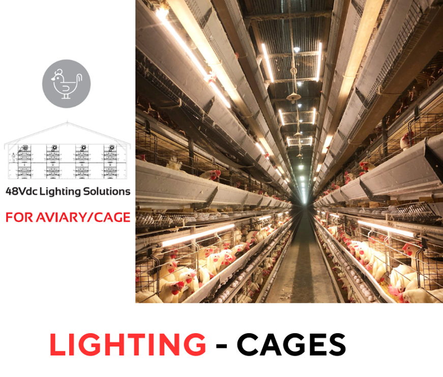 lighting cage system