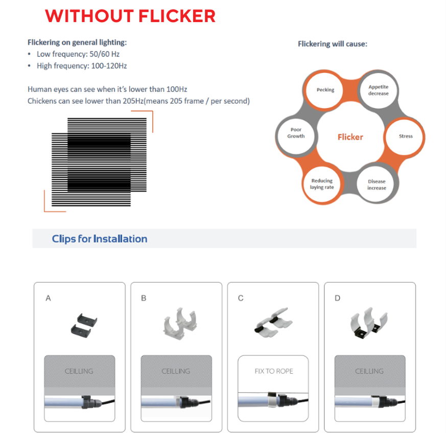 lighting cage system