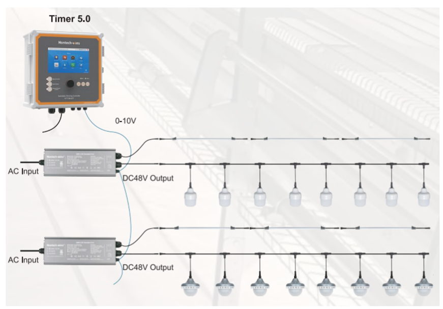 lighting cage system