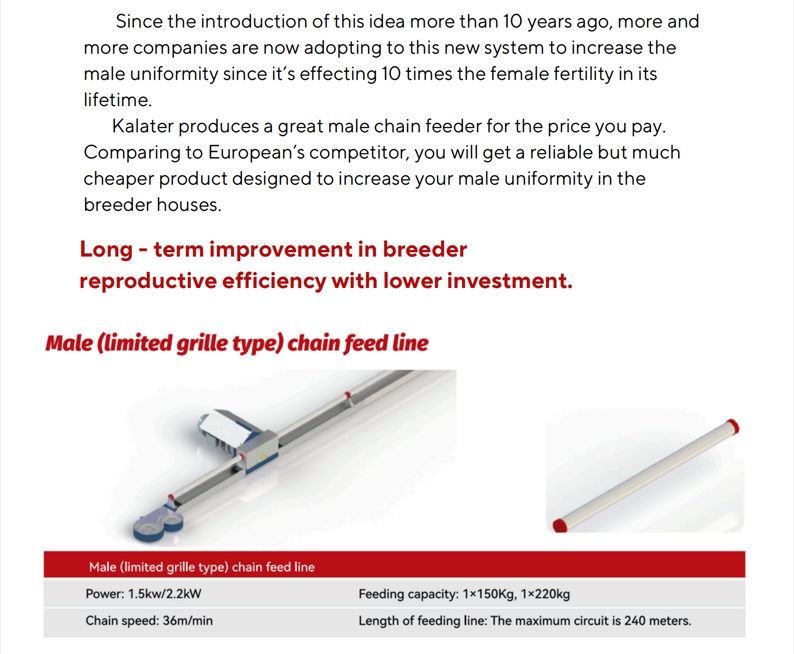 male chain feeders