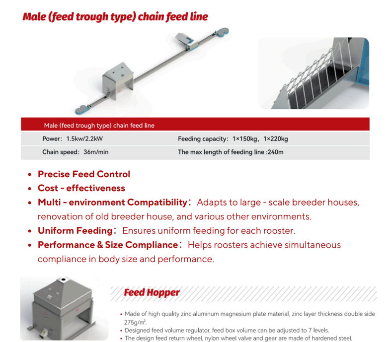 male chain feeders