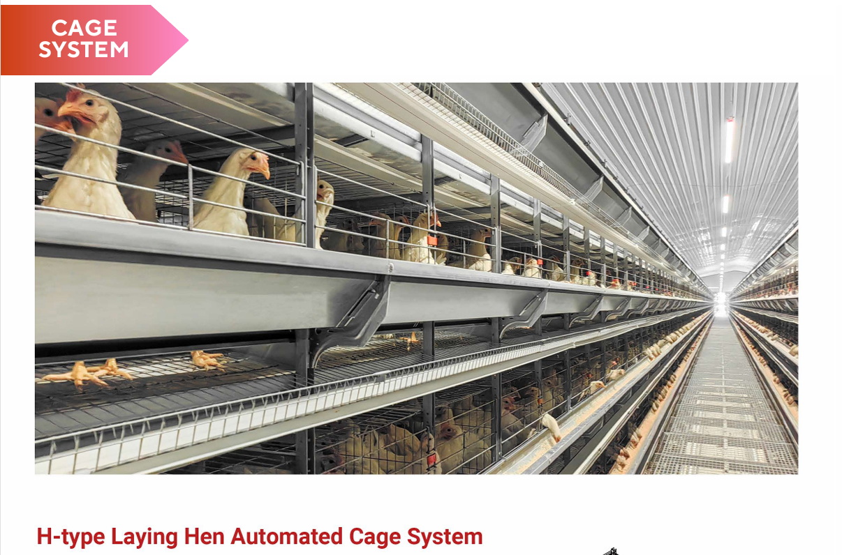 cage system