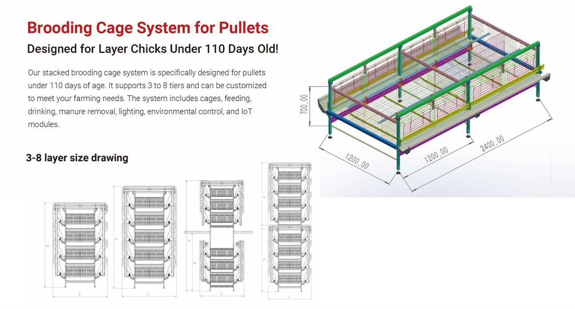 cage system