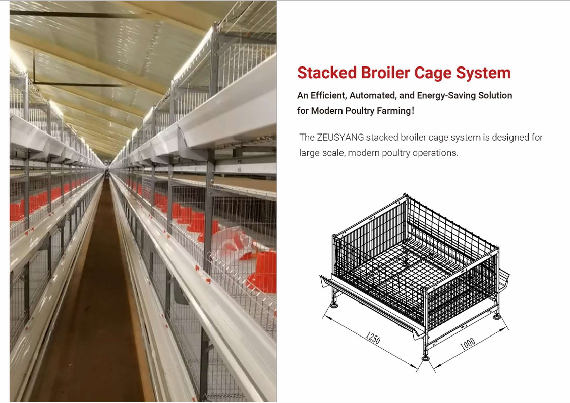 cage system