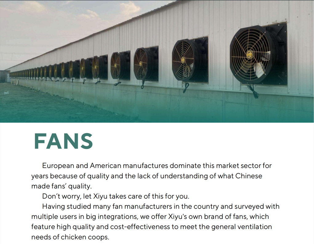 fans